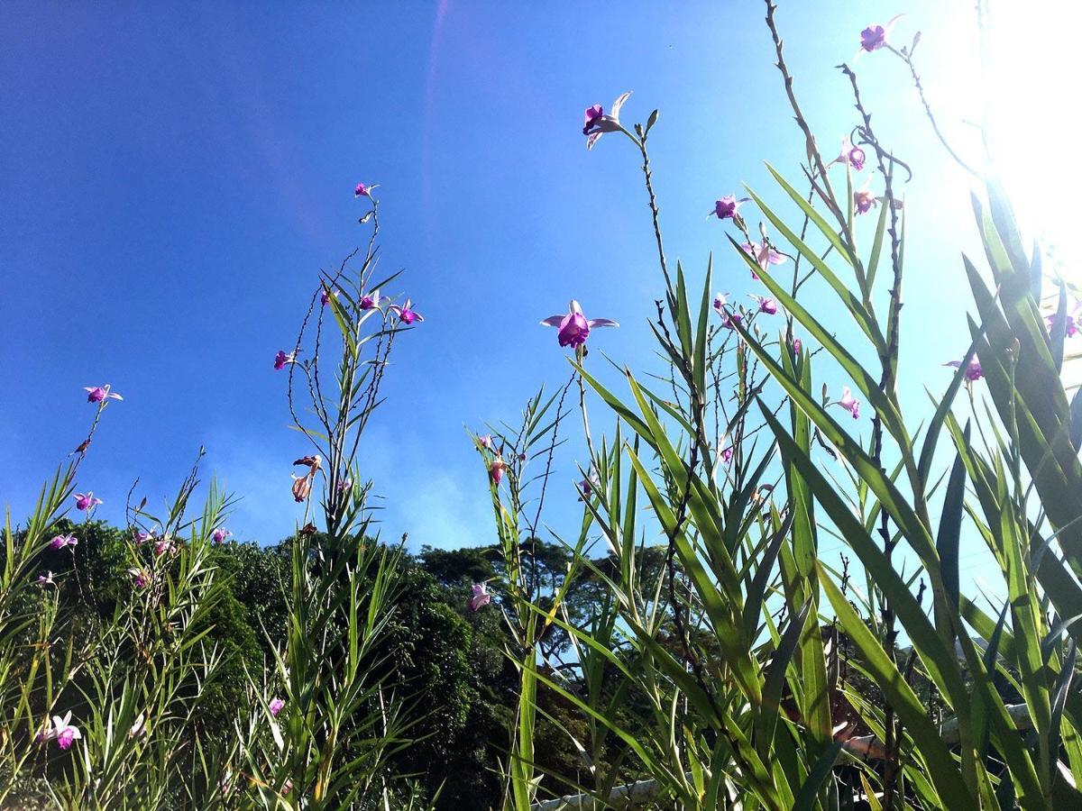 Vila Praiana Ubatuba Eksteriør bilde